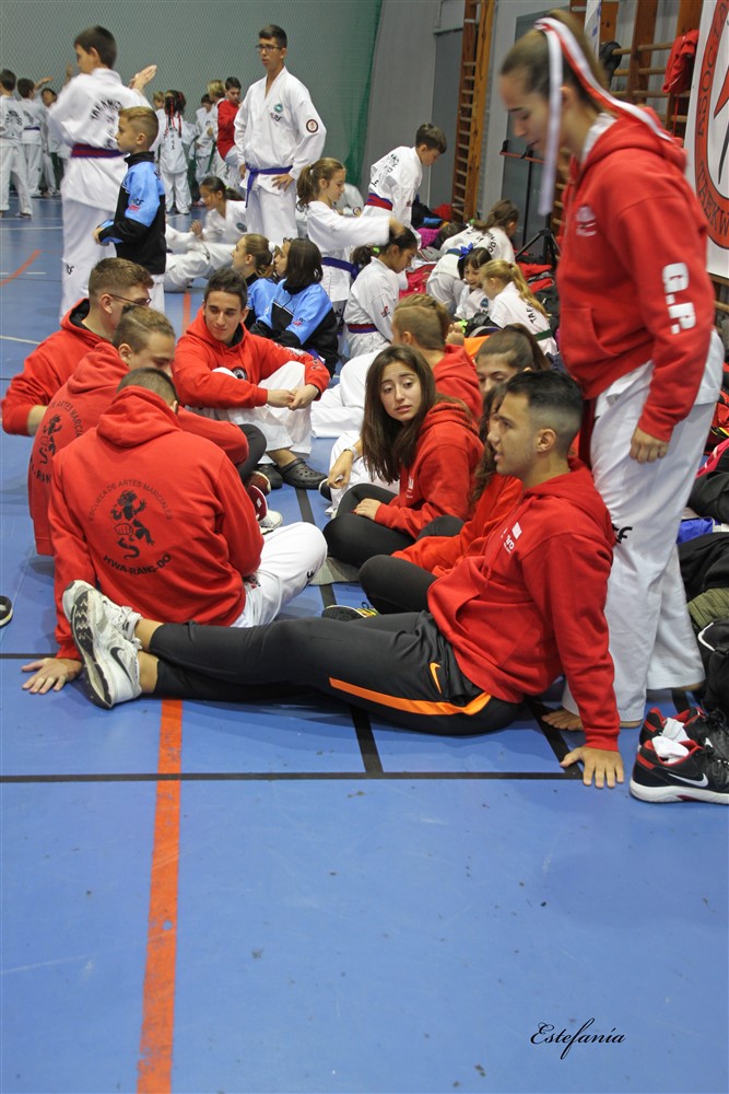 Copa Seul 2018 (390).jpg